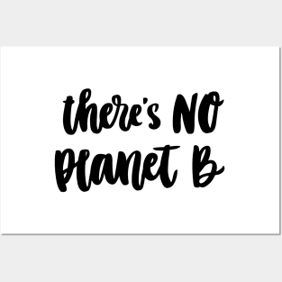 There is no Planet B Posters and Art